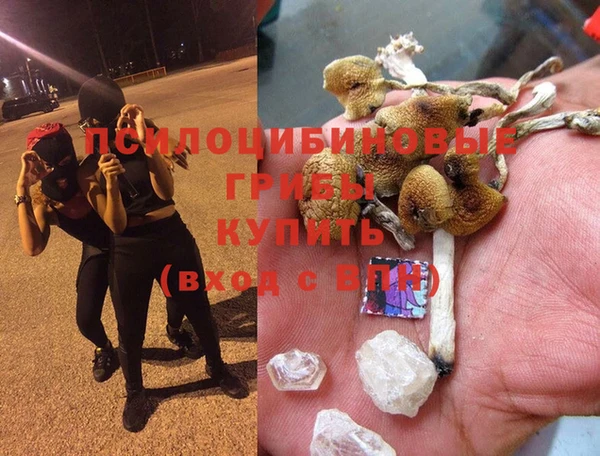 прущая мука Нефтекумск
