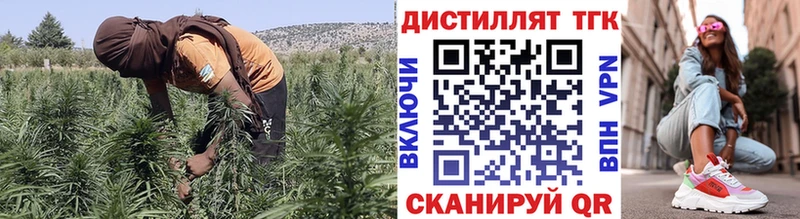 наркошоп  hydra ссылка  дарк нет формула  Саратов  Дистиллят ТГК THC oil 